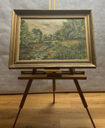 STROMY U ŘEKY - DANDA J.