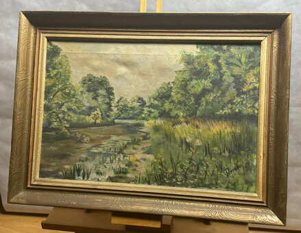 STROMY U ŘEKY - DANDA J.