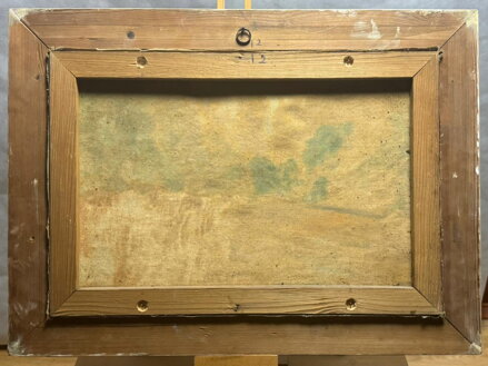 STROMY U ŘEKY - DANDA J.