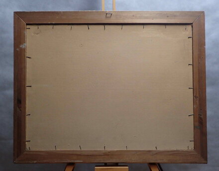 CHALUPY V BESKYDECH - DOBEŠ LUDVÍK LUDVA