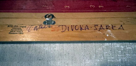DIVOKÁ ŠÁRKA - DOVRTĚL JAN