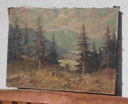 KRÁLICKÝ SNĚŽNÍK - DRHA JOSEF