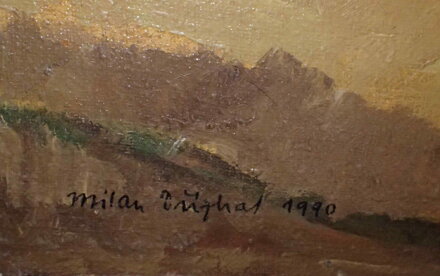 POLNÍ CESTA - DŘÍZHAL MILAN