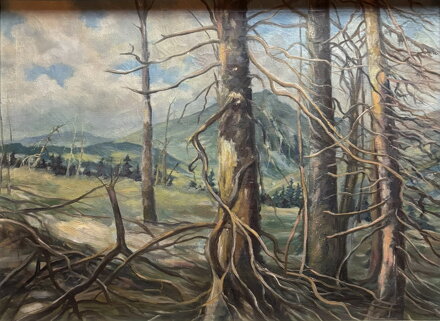 DRSNÁ KRÁSA HOR - NEZNÁMÝ AUTOR