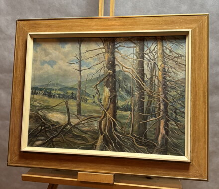 DRSNÁ KRÁSA HOR - NEZNÁMÝ AUTOR