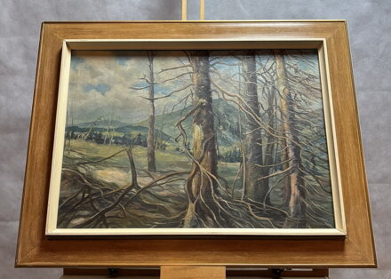 DRSNÁ KRÁSA HOR - NEZNÁMÝ AUTOR