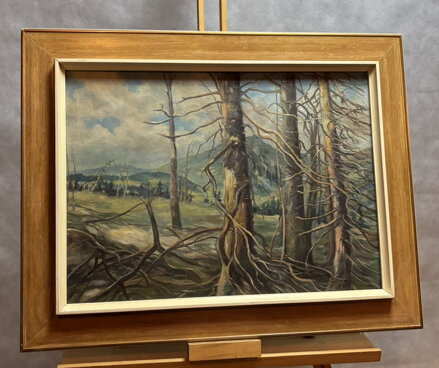 DRSNÁ KRÁSA HOR - NEZNÁMÝ AUTOR