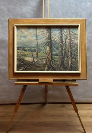 DRSNÁ KRÁSA HOR - NEZNÁMÝ AUTOR