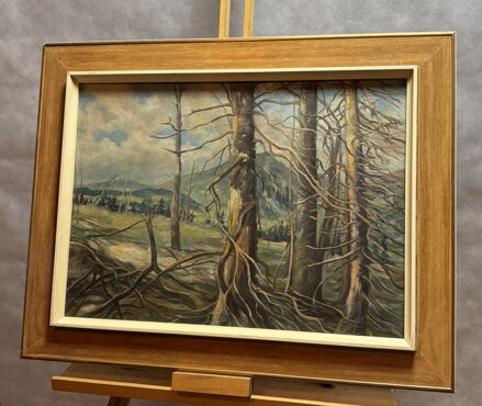 DRSNÁ KRÁSA HOR - NEZNÁMÝ AUTOR