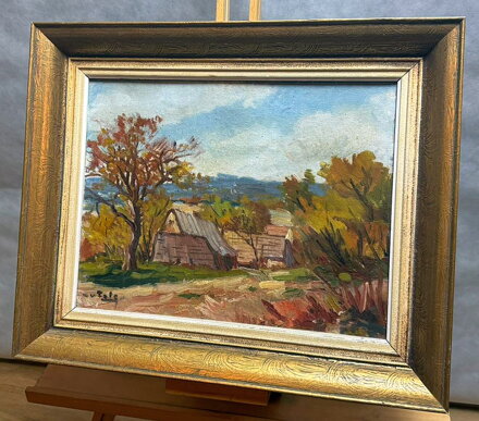 PODZIM NA VESNICI - FALC V.