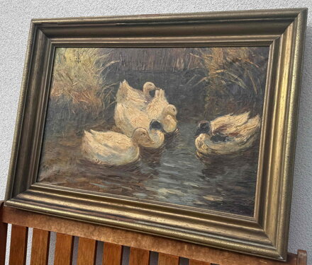 KACHNY NA RYBNÍKU - FISCHHOF GEORG SCHWARTZ K.