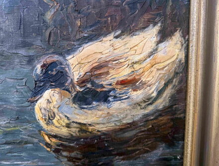 KACHNY NA RYBNÍKU - FISCHHOF GEORG SCHWARTZ K.