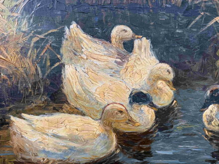 KACHNY NA RYBNÍKU - FISCHHOF GEORG SCHWARTZ K.