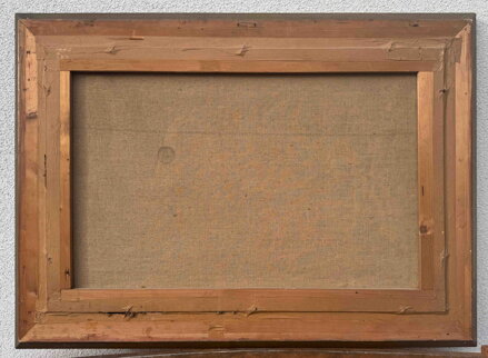 KACHNY NA RYBNÍKU - FISCHHOF GEORG SCHWARTZ K.