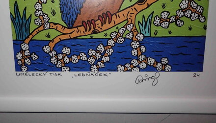 LEDŇÁČEK - ČECH RINGO FRANTIŠEK