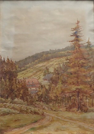 V HORÁCH - GRAFNETTER FRANTIŠEK