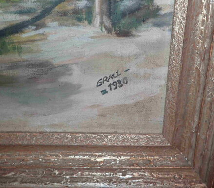 HUSTÝ LES - GRAU