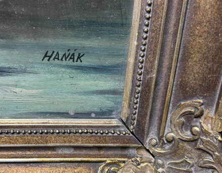 BAREVNÉ RŮŽE - HAŇÁK