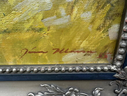 AKTY DVOU ŽEN V PŘÍRODĚ - HLAVSA JAROMÍR JAN