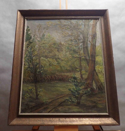 LESNÍ CESTA - HLÍNA F.