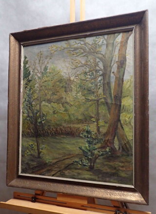 LESNÍ CESTA - HLÍNA F.