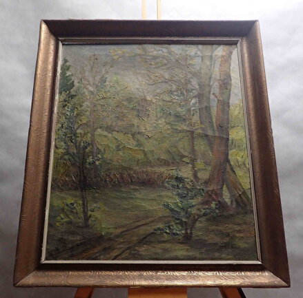 LESNÍ CESTA - HLÍNA F.