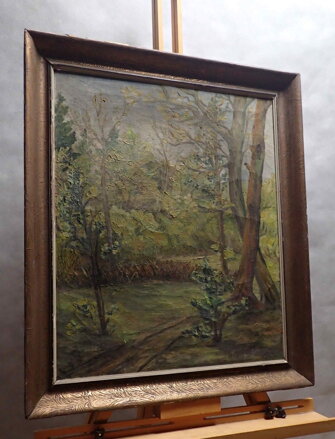 LESNÍ CESTA - HLÍNA F.