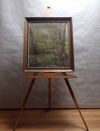 LESNÍ CESTA - HLÍNA F.