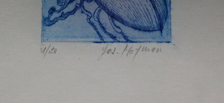BROUK S LUCERNOU 1/20 - HOFMAN JOSEF