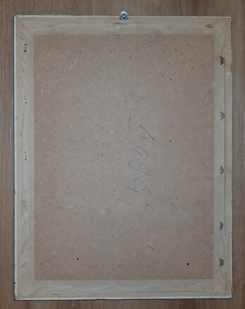 HLAVA PLNÁ NÁPADŮ - HOLÝ STANISLAV