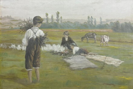 HOŠI NA PASTVĚ U OHÝNKU - NEZNÁMÝ AUTOR