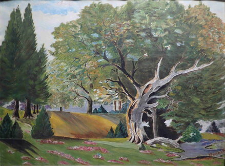 STROM V PARKU - HRABÁK