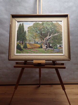 STROM V PARKU - HRABÁK