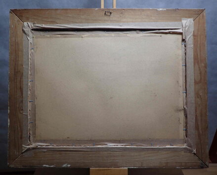 STROM V PARKU - HRABÁK