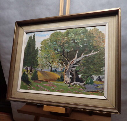 STROM V PARKU - HRABÁK