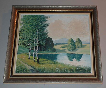 BŘÍZY U RYBNÍKA - HRONOVÁ A.