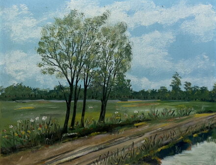 STROMY U POTOKA - NEZNÁMÝ AUTOR