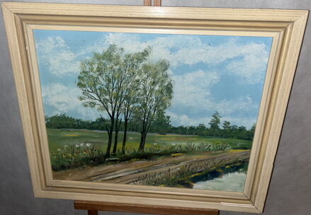 STROMY U POTOKA - NEZNÁMÝ AUTOR