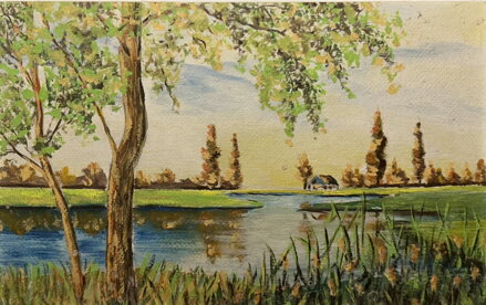 RÁKOSY U VODY - NEZNÁMÝ AUTOR