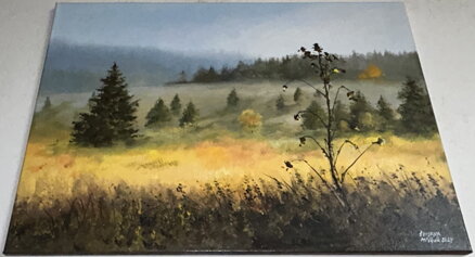ŠUMAVA, PODVEČENÍ FILIPOVA HUŤ - ČIHÁK MILAN