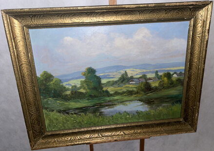 MOKŘADY V KRAJINĚ - STEIN VÁCLAV