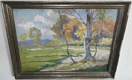 BŘÍZY U CESTY - HOLEČEK JAROSLAV