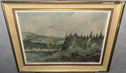 KRAJINA S BŘÍZOU - SEDLÁČEK EMIL