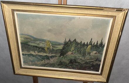 KRAJINA S BŘÍZOU - SEDLÁČEK EMIL