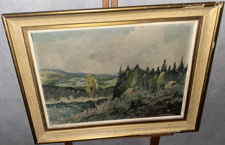 KRAJINA S BŘÍZOU - SEDLÁČEK EMIL