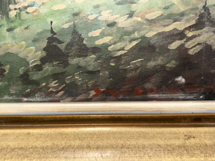 KRAJINA S BŘÍZOU - SEDLÁČEK EMIL