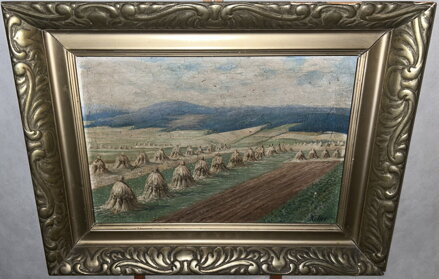 SNOPY V KRAJINĚ - KELLER