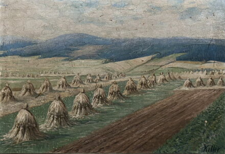 SNOPY V KRAJINĚ - KELLER