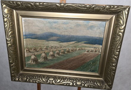 SNOPY V KRAJINĚ - KELLER