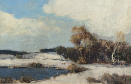 ZASNĚŽENÉ LOUKY LEMOVANÉ LESEM - SIGNOVÁN